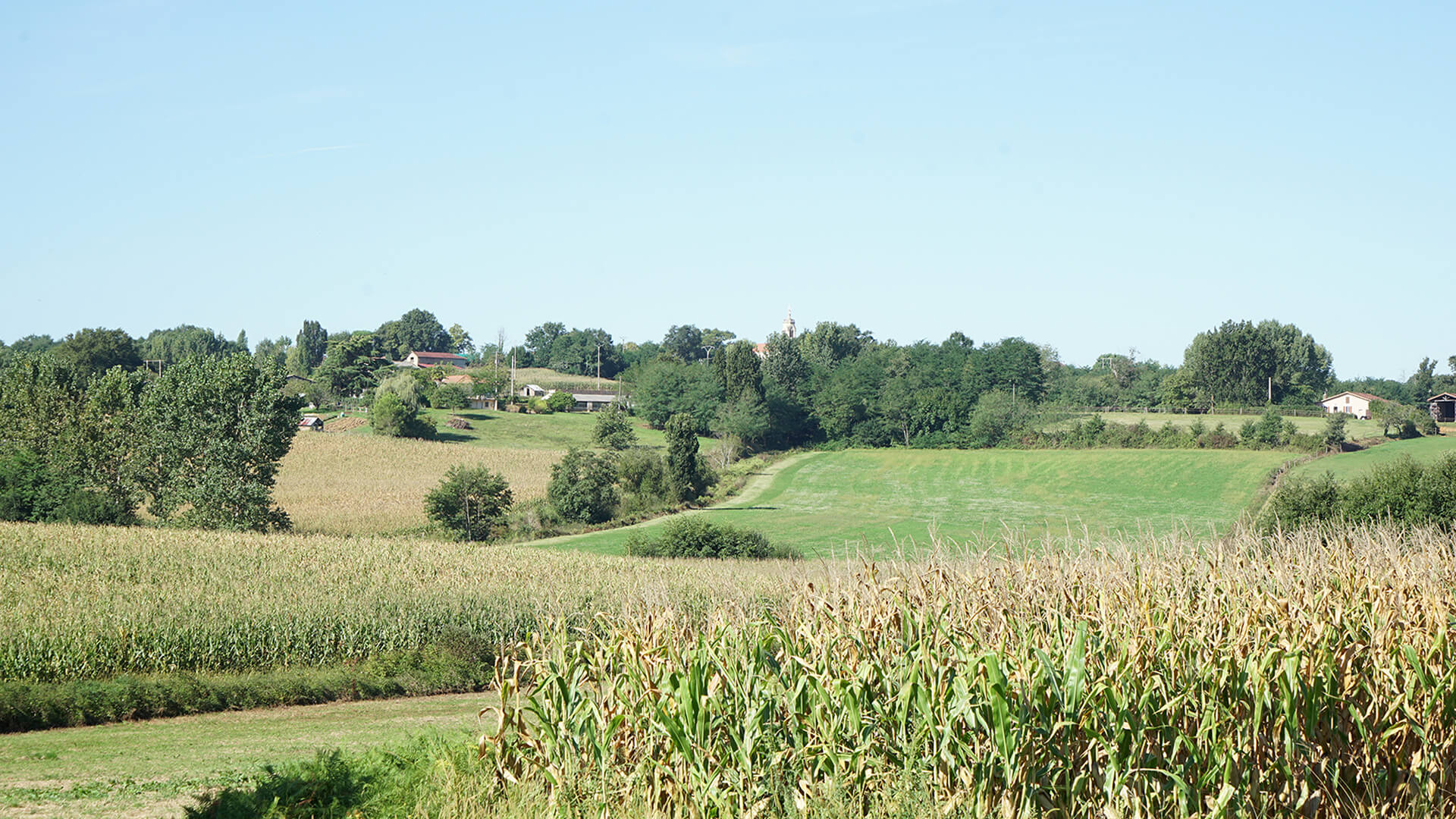 paysage de chalosse