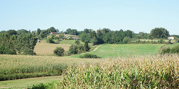 paysage de chalosse